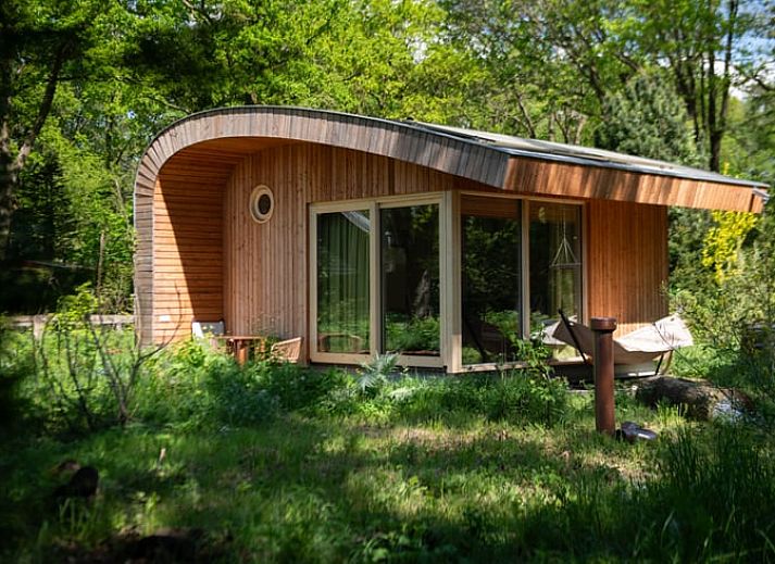 Gezellige binnenruimte van Vakantiehuis in Otterlo, een vakantiehuis in de Veluwe, Gelderland met moderne inrichting en comfortabele zithoek.