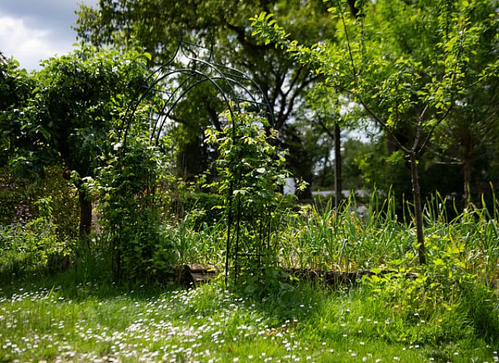Gezellige binnenruimte van Vakantiehuis in Otterlo, een vakantiehuis in de Veluwe, Gelderland met moderne inrichting en comfortabele zithoek.