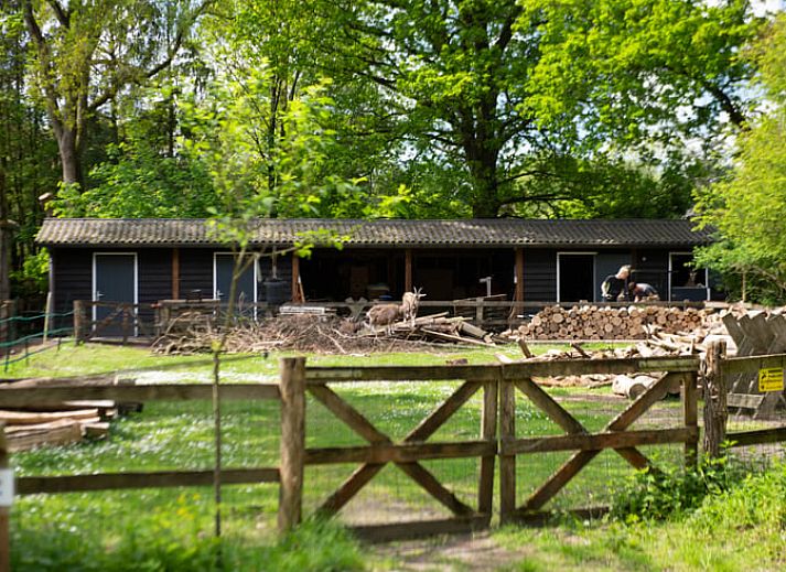 Gezellige slaapkamer in Vakantiehuis in Otterlo, Veluwe, met houten interieur en sfeervolle verlichting, ideaal voor een ontspannen verblijf.