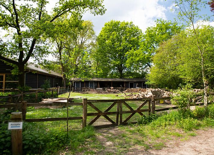 Gezellige slaapkamer in Vakantiehuis in Otterlo, Veluwe, met houten interieur en sfeervolle verlichting, ideaal voor een ontspannen verblijf.