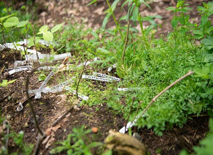 Gezellige slaapkamer in Vakantiehuis in Otterlo, Veluwe, met houten interieur en sfeervolle verlichting, ideaal voor een ontspannen verblijf.