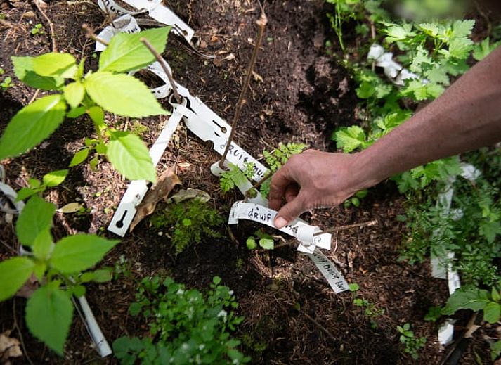 Gezellige slaapkamer in Vakantiehuis in Otterlo, Veluwe, met houten interieur en sfeervolle verlichting, ideaal voor een ontspannen verblijf.