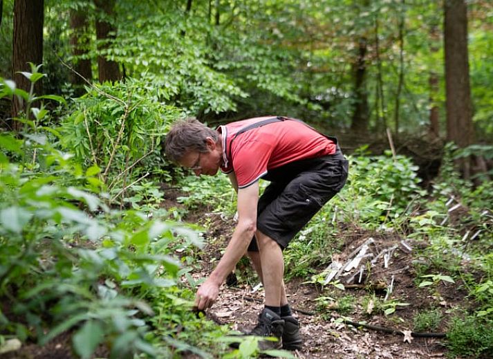 Verblijf 3225324 - Vakantiewoning Veluwe - Vakantiehuis in Otterlo
