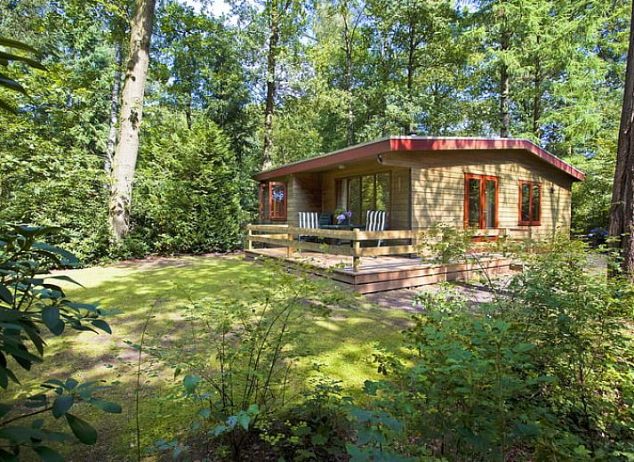 Verblijf 322545 • Chalet Veluwe • CUB8L