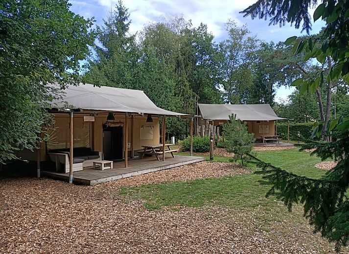 Unterkunft 322565 • Ferienhaus Veluwe • Glampingtent 5 