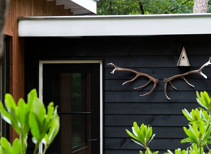 Das Ferienhaus in Otterlo liegt inmitten von Herbstlaub und bietet ein ruhiges Naturerlebnis an der Veluwe in Gelderland.