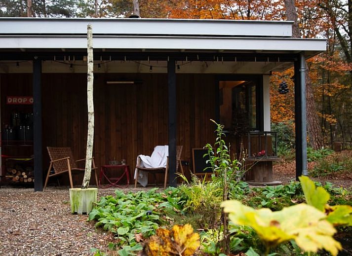 Das Ferienhaus in Otterlo liegt inmitten von Herbstlaub und bietet ein ruhiges Naturerlebnis an der Veluwe in Gelderland.