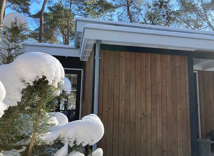 Schnee bedeckt den Wald um das Ferienhaus in Otterlo, ein charmantes Ferienhaus in der Veluwe, Gelderland, umgeben von Natur.