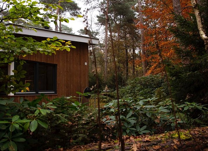 Schnee bedeckt den Wald um das Ferienhaus in Otterlo, ein charmantes Ferienhaus in der Veluwe, Gelderland, umgeben von Natur.