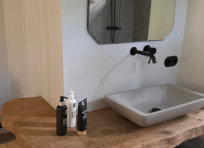 Gemuetliches Ferienhaus in Otterlo in Veluwe, Gelderland, mit einer einladenden Terrasse, umgeben von Herbstlaub und gruener Natur.