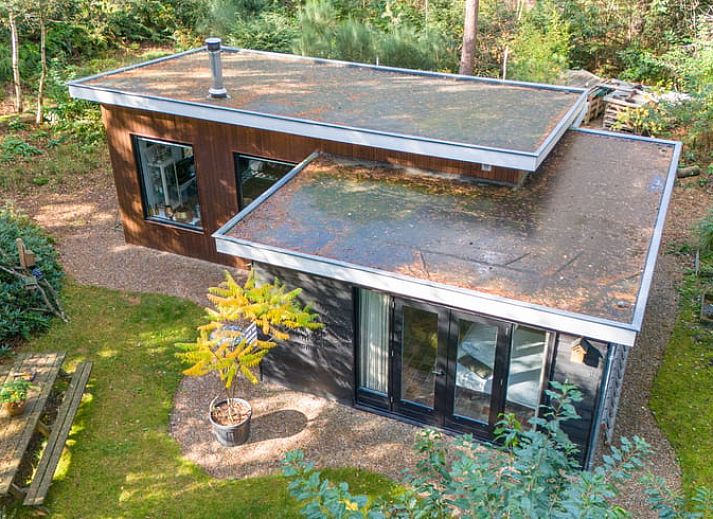Gemuetliches Ferienhaus in Otterlo in Veluwe, Gelderland, mit einer einladenden Terrasse, umgeben von Herbstlaub und gruener Natur.