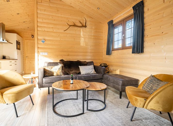 Gezellige woonkamer in Vakantiehuis Boekhorst 5, Otterlo, Veluwe met houten interieur en comfortabele zitruimte.