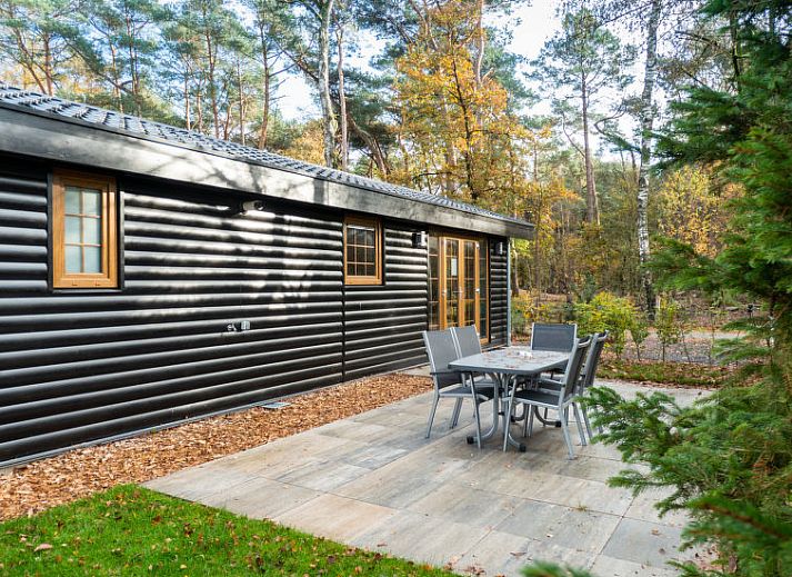 Eetgedeelte met houten tafel in Vakantiehuis Boekhorst 5, Otterlo, Veluwe, omringd door grote ramen en natuurlijk licht.