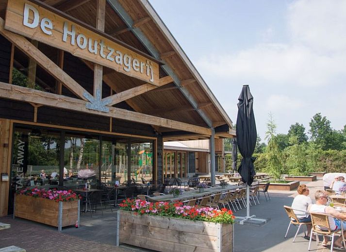Eetgedeelte met houten tafel in Vakantiehuis Boekhorst 5, Otterlo, Veluwe, omringd door grote ramen en natuurlijk licht.
