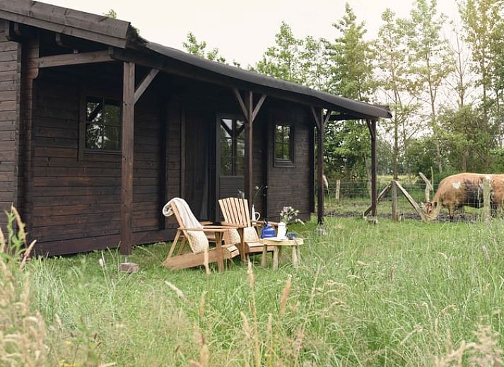 Verblijf 322605 • Vakantiewoning Veluwe • Huisje in Oosterwolde Gelderland 