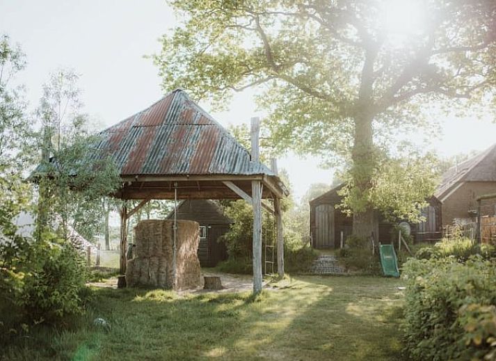 Guest house 322605 - Holiday property Veluwe - Huisje in Oosterwolde Gelderland