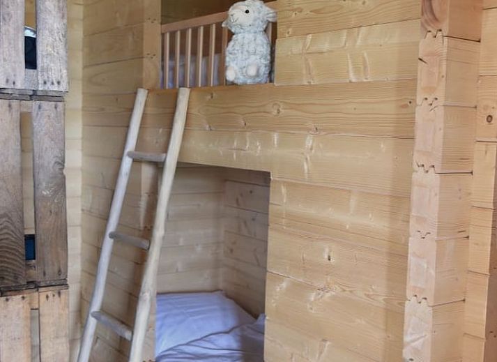 Guest house 322606 - Holiday property Veluwe - Vakantiehuis in Oosterwolde Gelderland