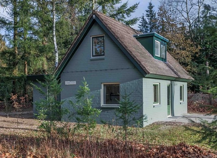 Verblijf 322710 • Vakantiewoning Veluwe • Luxe 4 persoons vakantiehuis in de bossen nabij Epe op de