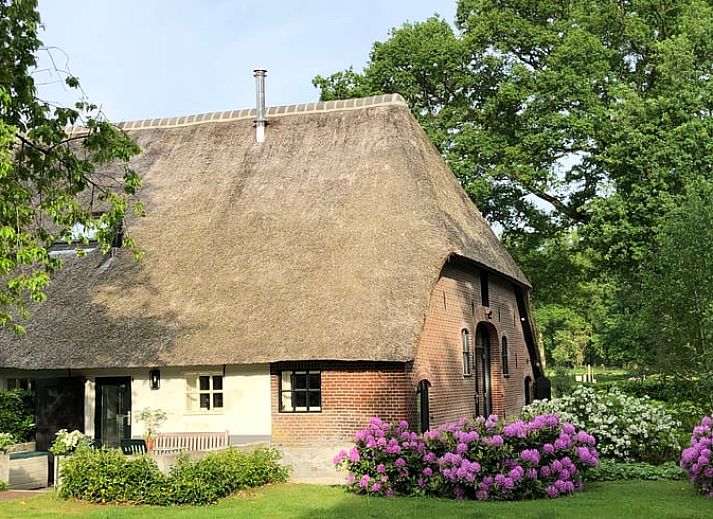 Vakantiehuis in Epe op de Veluwe, Gelderland, met rieten dak en kleurrijke tuin, ideaal voor natuurliefhebbers.