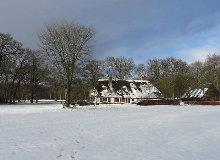Stijlvolle binnenruimte van Vakantiehuis in Epe, gelegen in de Veluwe, Gelderland, met een elegante houten tafel en spiegel.