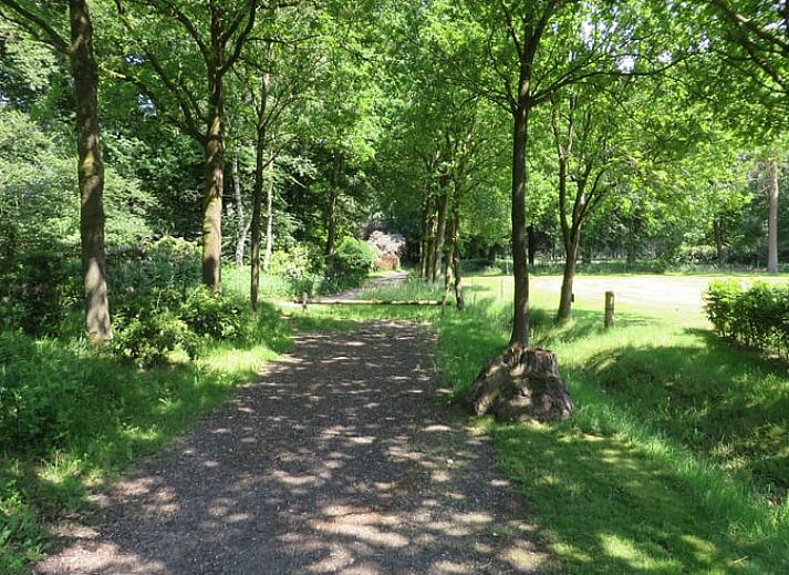 Verblijf 3227100 - Vakantiewoning Veluwe - Vakantiehuis in Epe