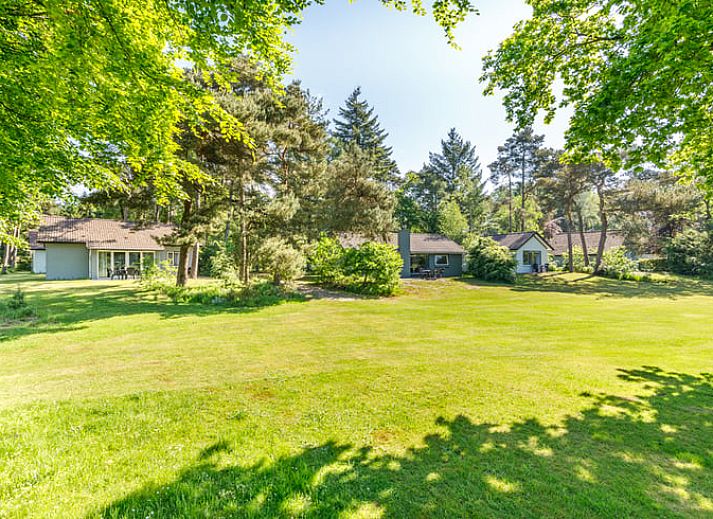 Verblijf 3227103 - Vakantiewoning Veluwe - Vakantiehuisje in Epe