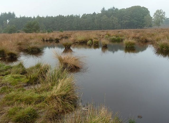 Verblijf 3227103 - Vakantiewoning Veluwe - Vakantiehuisje in Epe