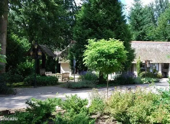 Verblijf 3227106 - Vakantiewoning Veluwe - Remboe Village