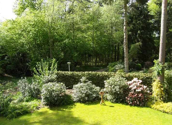 Vacation home in Epe in the Veluwe, Gelderland, with inviting terrace and green garden, surrounded by nature.