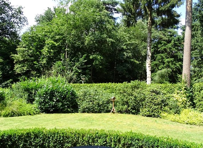 Vacation home in Epe in the Veluwe, Gelderland, with inviting terrace and green garden, surrounded by nature.