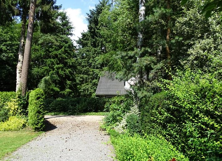 Natural surroundings at Holiday home in Epe, Veluwe, Gelderland. Discover wildlife from this idyllic vacation home.