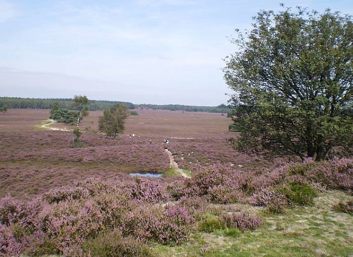 Enjoy the green surroundings at Holiday home in Epe, an idyllic vacation home on the Veluwe in Gelderland, surrounded by nature.