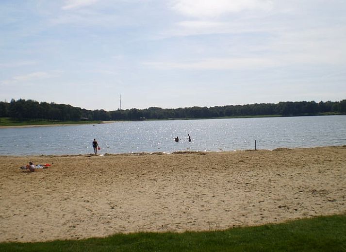 Enjoy nature around Holiday home in Epe, Veluwe, Gelderland, with a curious deer in the green surroundings.