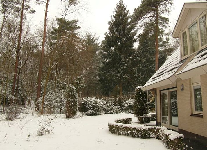 Enjoy nature around Holiday home in Epe, Veluwe, Gelderland, with a curious deer in the green surroundings.