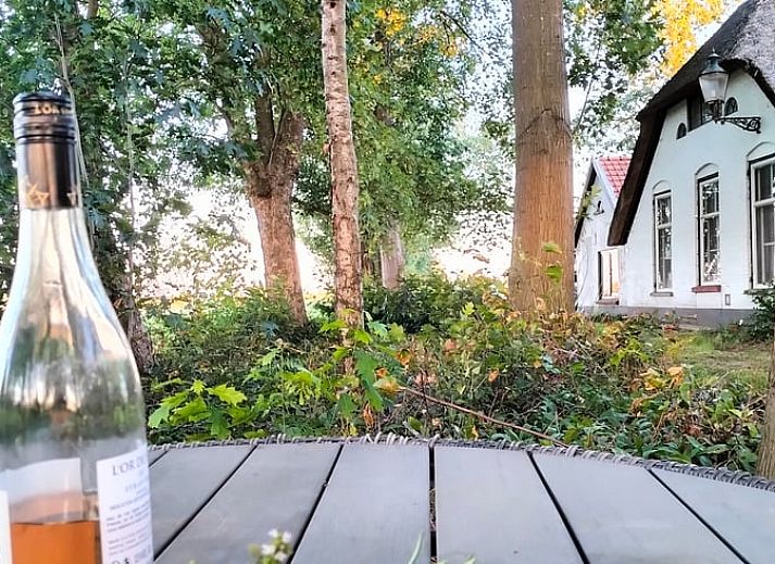 Comfortabele slaapkamer in Vakantiehuis in Epe, Veluwe, Gelderland met zachte kussens en warme dekens.