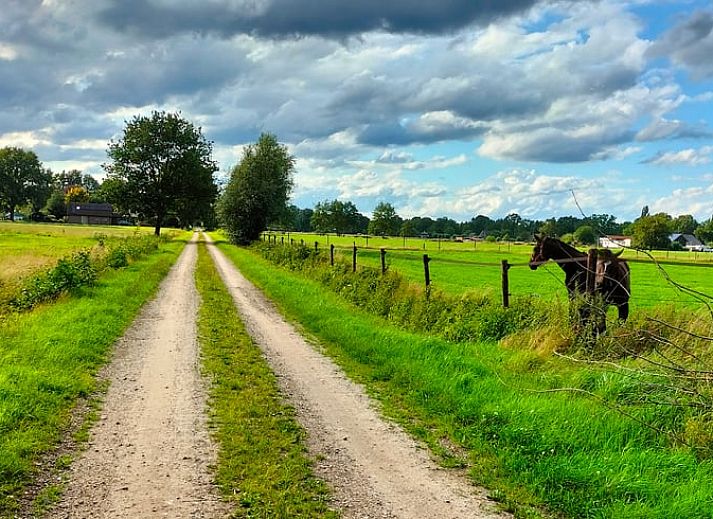Gezellige binnenruimte van Vakantiehuis in Epe, Veluwe, Gelderland met sfeervolle kaarsen en kunst.