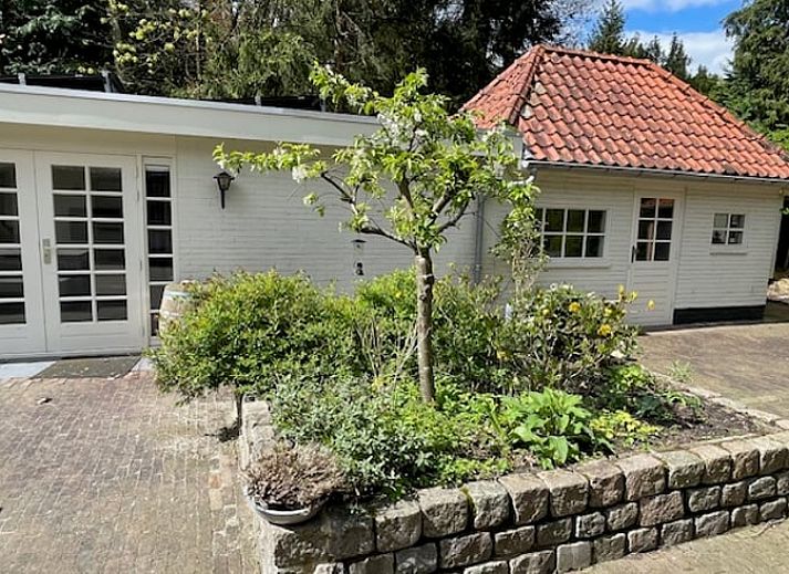Guest house 3227123 - Holiday property Veluwe - Vakantiehuisje in Epe
