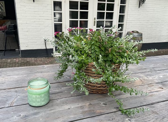 Guest house 3227123 - Holiday property Veluwe - Vakantiehuisje in Epe