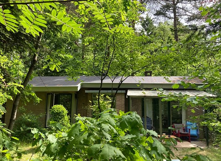 Verblijf 3227128 - Vakantiewoning Veluwe - Huisje in Epe