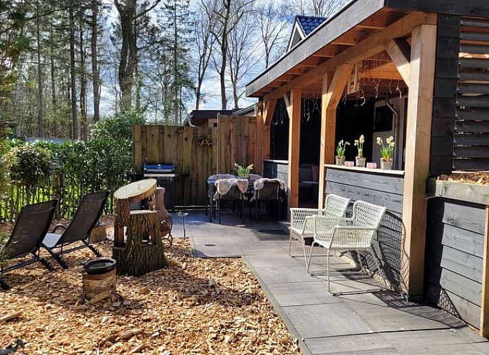 Enjoy the peace and quiet on the veranda of Holiday Home in Epe, Veluwe, Gelderland, overlooking the green garden and surrounding nature.