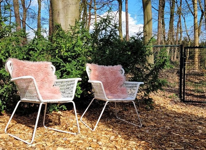 Enjoy the cozy veranda of Holiday Home in Epe in Veluwe, Gelderland, with comfortable seating areas and green surroundings.