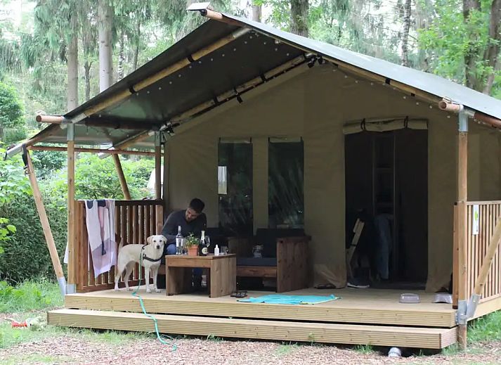Unterkunft 3227130 - Zelthaus Veluwe - Safaritent de Das