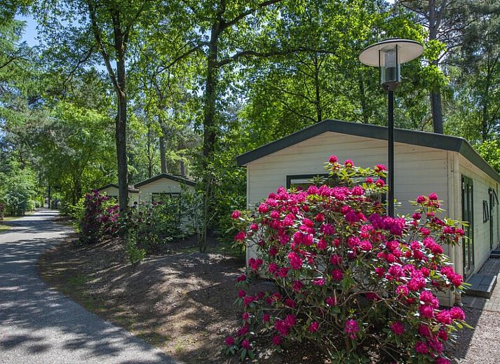 Verblijf 3227136 - Vakantiewoning Veluwe - «Chalet» SK6