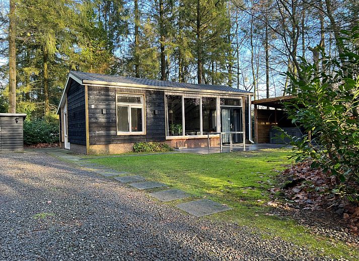 Guest house 3227164 • Holiday property Veluwe • Luxe 4 persoons vakantiehuis met bubbelbad in de bossen