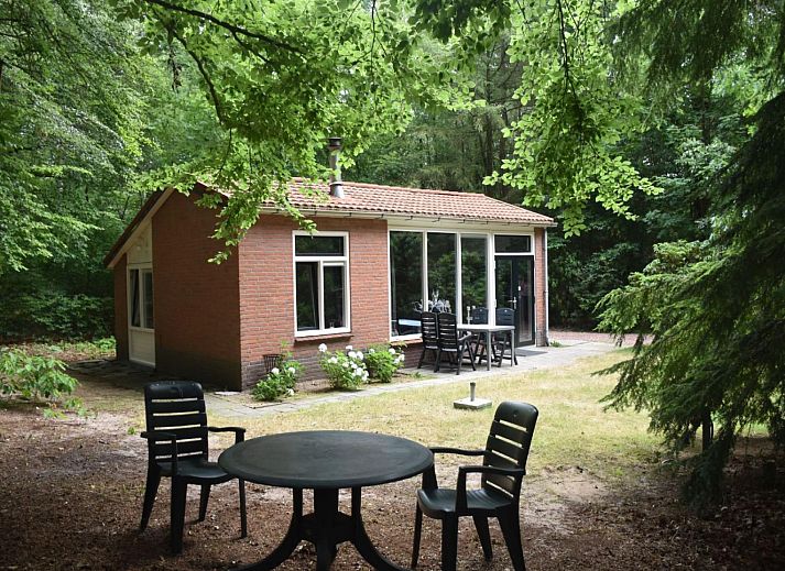 Guest house 3227165 • Holiday property Veluwe • Luxe 4 persoons vakantiehuis met bubbelbad in de bossen