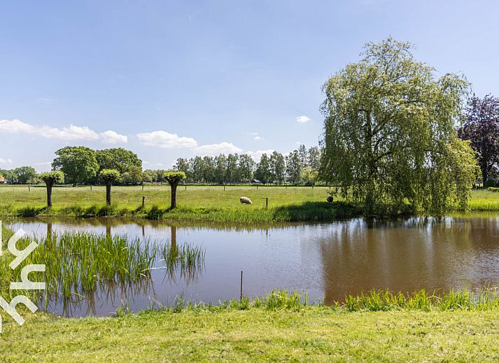 Adembenemend uitzicht op regenboog bij DG1439 vakantiehuis in Epe, Veluwe.