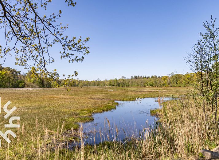 Sfeervolle slaapkamer in DG1439 vakantiehuis Epe, Veluwe met houten accenten.