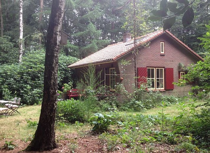 Verblijf 322722 • Vakantiewoning Veluwe • Natuurhuisje in Epe