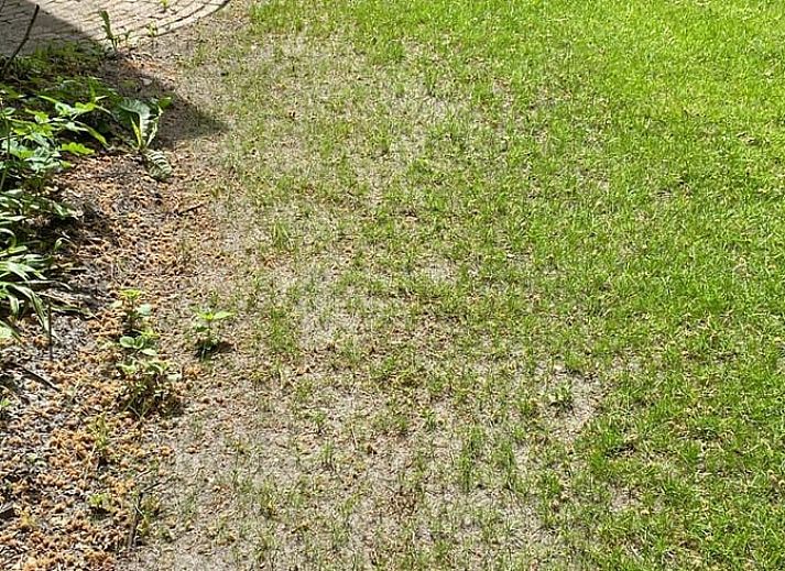 Gezellige woonkamer van Huisje in Epe, Veluwe, met comfortabele stoelen en uitzicht op de groene tuin, ideaal voor ontspanning.