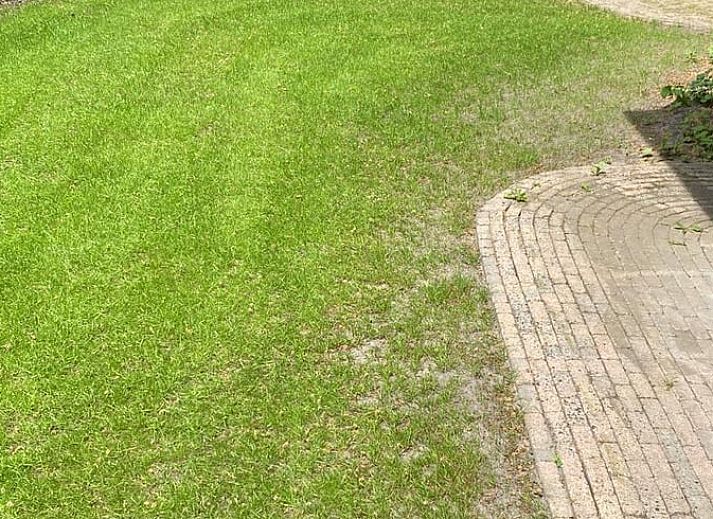 Gezellige woonkamer van Huisje in Epe, Veluwe, met comfortabele stoelen en uitzicht op de groene tuin, ideaal voor ontspanning.